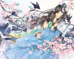 雏鸟短视频幼儿视频免费下载